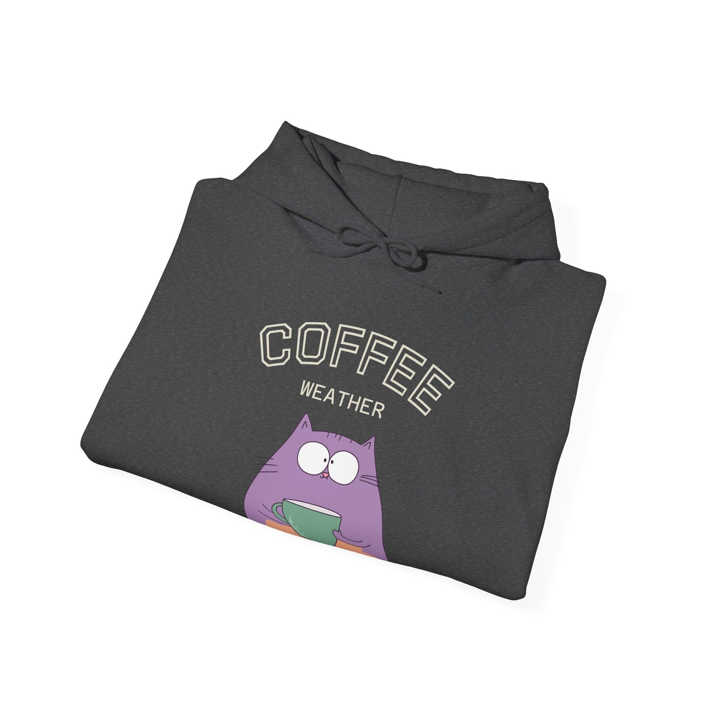 🐱☕ Coffee Weather Cat Hoodie USA | Cozy Coffee Lovers Hoodie